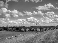 Schafe am Viadukt  PENTAX K-3 Mark III Monochrome, HD PENTAX - HD PENTAX - DA* 2.8/16-50 ED PLM AW   - 02.09-2025 -