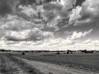 Rheinwiesen  PENTAX K-3 Mark III Monochrome, HD PENTAX - HD PENTAX - DA* 2.8/16-50 ED PLM AW   - 02.09-2025 -