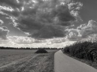 Heimwärts  PENTAX K-3 Mark III Monochrome, HD PENTAX - HD PENTAX - DA* 2.8/16-50 ED PLM AW   - 02.09-2025 -