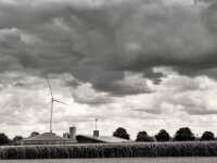 Mais und Massentierhaltung; - arme Schweine  PENTAX K-3 Mark III Monochrome, HD PENTAX - HD PENTAX - DA* 2.8/16-50 ED PLM AW   - 02.09-2025 -