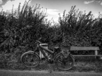 Halt am Feld  PENTAX K-3 Mark III Monochrome, HD PENTAX - HD PENTAX - DA* 2.8/16-50 ED PLM AW   - 02.09-2025 -