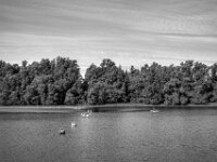 Kleiner See  PENTAX K-3 Mark III Monochrome, smc PENTAX-FA 43mm F1.9 Limited   - 02.10.2025 -