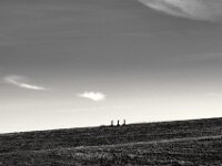 Dreigestirn auf dem Deich  PENTAX K-3 Mark III Monochrome, smc PENTAX-FA 43mm F1.9 Limited   - 02.10.2025 -