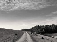 Hinterm Rheindeich entlang  PENTAX K-3 Mark III Monochrome, smc PENTAX-FA 43mm F1.9 Limited   - 02.10.2025 -