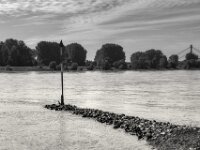 Gans auf der Buhne  PENTAX K-3 Mark III Monochrome, smc PENTAX-FA 43mm F1.9 Limited   - 02.10.2025 -