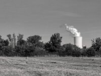 Der Reiher auf dem Feld  PENTAX K-3 Mark III Monochrome, smc PENTAX-FA 43mm F1.9 Limited   - 02.10.2025 -