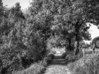 Flussweg  PENTAX K-3 Mark III Monochrome, smc PENTAX-FA 43mm F1.9 Limited   - 02.10.2025 -