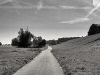 Hinterm Deich  PENTAX K-3 Mark III Monochrome, smc PENTAX-FA 43mm F1.9 Limited   - 02.10.2025 -