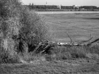 Gefallen  PENTAX K-3 Mark III Monochrome, smc PENTAX-FA 43mm F1.9 Limited   - 02.10.2025 -