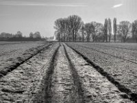 03.Februar 2025