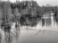 Lippemündung Naturschutz  PENTAX K-3 Mark III Monochrome, HD PENTAX - DA* 2.8/16-50 ED PLM AW  - 03.02.2025 -