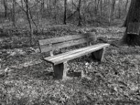 Waldbank  PENTAX K-3 Mark III Monochrome, HD PENTAX - DA* 2.8/16-50 ED PLM AW  - 03.02.2025 -