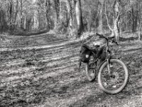 Kurze Pause  PENTAX K-3 Mark III Monochrome, HD PENTAX - DA* 2.8/16-50 ED PLM AW  - 03.02.2025 -