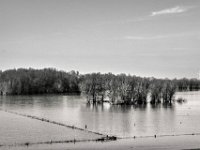Hochwasser  PENTAX K-3 Mark III Monochrome, HD PENTAX - DA* 2.8/16-50 ED PLM AW  - 03.02.2025 -