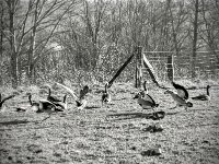 Ärger und Aufruhr  PENTAX K-3 Mark III Monochrome, HD PENTAX - DA* 2.8/16-50 ED PLM AW  - 03.02.2025 -