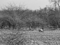 .. nichts wie weg  PENTAX K-3 Mark III Monochrome, HD PENTAX - DA* 2.8/16-50 ED PLM AW  - 03.02.2025 -