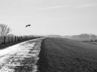 Abflug  PENTAX K-3 Mark III Monochrome, HD PENTAX - DA* 2.8/16-50 ED PLM AW  - 03.02.2025 -