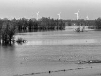 Wasserlandschaft  PENTAX K-3 Mark III Monochrome, HD PENTAX - DA* 2.8/16-50 ED PLM AW  - 03.02.2025 -