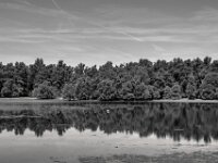 Am kleinen See III  PENTAX K-3 Mark III Monochrome, SMC PENTAX-FA 1.9/43 Limited  - 04.07.2025 -