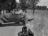 Am Wegesrand  PENTAX K-3 Mark III Monochrome, SMC PENTAX-FA 1.9/43 Limited  - 04.07.2025 -