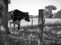 Abseits im Schatten  PENTAX K-3 Mark III Monochrome, SMC PENTAX-FA 1.9/43 Limited  - 04.07.2025 -