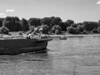 Begegnung auf dem Rhein  PENTAX K-3 Mark III Monochrome, SMC PENTAX-FA 1.9/43 Limited  - 04.07.2025 -
