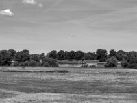 Rheinschiff  PENTAX K-3 Mark III Monochrome, SMC PENTAX-FA 1.9/43 Limited  - 04.07.2025 -