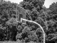 Einsam im Park  PENTAX K-3 Mark III Monochrome, SMC PENTAX-FA 1.9/43 Limited  - 04.07.2025 -