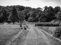 Parkbänke  PENTAX K-3 Mark III Monochrome, SMC PENTAX-FA 1.9/43 Limited  - 04.07.2025 -
