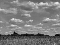Schöner Wolkenhimmel  PENTAX K-3 Mark III Monochrome, SMC PENTAX-FA 1.9/43 Limited  - 04.07.2025 -