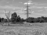 Allein  PENTAX K-3 Mark III Monochrome, SMC PENTAX-FA 1.9/43 Limited  - 04.07.2025 -