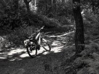 Waldweg  PENTAX K-3 Mark III Monochrome, SMC PENTAX-FA 1.9/43 Limited  - 04.07.2025 -