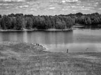 Naturschutzgebiet  Lippemündung  PENTAX K-3 Mark III Monochrome, SMC PENTAX-FA 1.9/43 Limited  - 04.07.2025 -