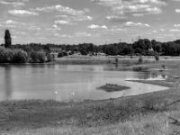 Schwäne  PENTAX K-3 Mark III Monochrome, SMC PENTAX-FA 1.9/43 Limited  - 04.07.2025 -