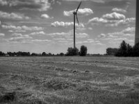 Gemähtes Getreidefeld  PENTAX K-3 Mark III Monochrome, SMC PENTAX-FA 1.9/43 Limited  - 04.07.2025 -