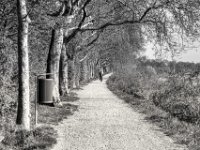 Rheinweg mit Radfahrer  PENTAX K-3 Mark III Monochrome, HD PENTAX - DA* 2.8/16-50 ED PLM AW  - 04.04.2025 -