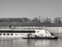 Putzaktion  PENTAX K-3 Mark III Monochrome, HD PENTAX - DA* 2.8/16-50 ED PLM AW  - 04.04.2025 -