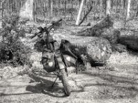 Pause  PENTAX K-3 Mark III Monochrome, HD PENTAX - DA* 2.8/16-50 ED PLM AW  - 04.04.2025 -