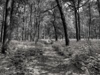 Bergauf  PENTAX K-3 Mark III Monochrome, HD PENTAX - DA* 2.8/ 11-18 ED DC AW  - 05,05,2025 -