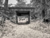 Zoo im Wald  PENTAX K-3 Mark III Monochrome, HD PENTAX - DA* 2.8/ 11-18 ED DC AW  - 05,05,2025 -