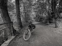 Halt an der Rotbachbrücke  PENTAX K-3 Mark III Monochrome, HD PENTAX - DA* 2.8/ 11-18 ED DC AW  - 05,05,2025 -