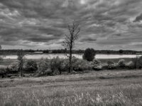Rheinufer  PENTAX K-3 Mark III Monochrome, HD PENTAX - DA* 2.8/ 11-18 ED DC AW  - 05,05,2025 -