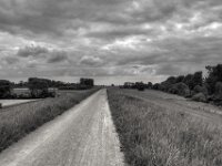 Weiter auf dem Rheindeich  PENTAX K-3 Mark III Monochrome, HD PENTAX - DA* 2.8/ 11-18 ED DC AW  - 05,05,2025 -