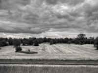 Weiden am Rheindeich  PENTAX K-3 Mark III Monochrome, HD PENTAX - DA* 2.8/ 11-18 ED DC AW  - 05,05,2025 -