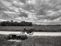 Halt am Lippe Naturschutzgebiet  PENTAX K-3 Mark III Monochrome, HD PENTAX - DA* 2.8/ 11-18 ED DC AW  - 05,05,2025 -