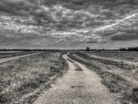 Deichwege  PENTAX K-3 Mark III Monochrome, HD PENTAX - DA* 2.8/ 11-18 ED DC AW  - 05,05,2025 -