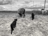 tschüss  PENTAX K-3 Mark III Monochrome, HD PENTAX - DA* 2.8/ 11-18 ED DC AW  - 05,05,2025 -