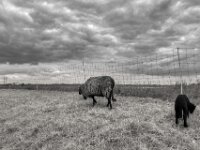 Die Familie geht und meine Fahrt endet gleich  PENTAX K-3 Mark III Monochrome, HD PENTAX - DA* 2.8/ 11-18 ED DC AW  - 05,05,2025 -