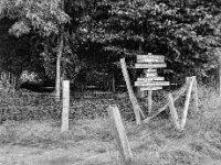 Hinweis  Pentax 645N, SMC FA 645 2.8/75, Kodak Tri X 400   - 06.08.2025 -