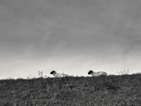 Chillen  PENTAX K-3 Mark III Monochrome SMC PENTAX-FA F1.8/77 Limited  - 06.11.2025 -